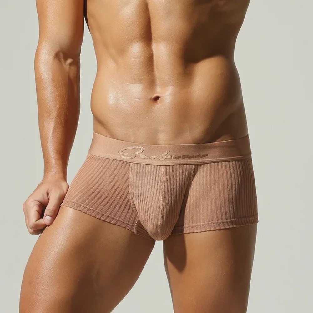 남성용 속옷 시스루 스트라이프 팬티 벌지 파우치 박서  - Pouch Boxer Pouch 리뷰 및 가격